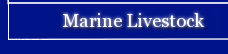 Marine Livestock